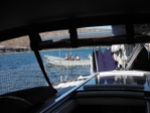 Boarded by Mexican Navy at Caleta Lobos.