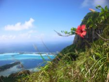 Bora Bora beauty